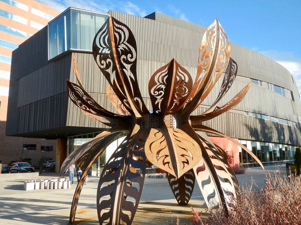 Nevada Museum of Art