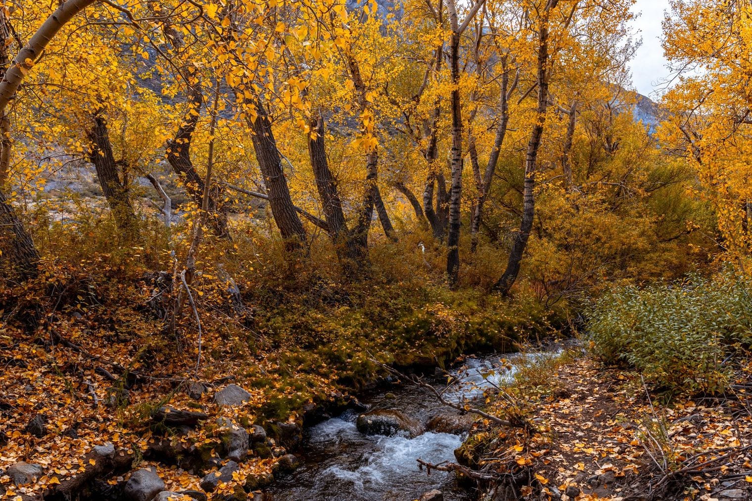 Galena Creek Visitor Center, Reno, Nevada