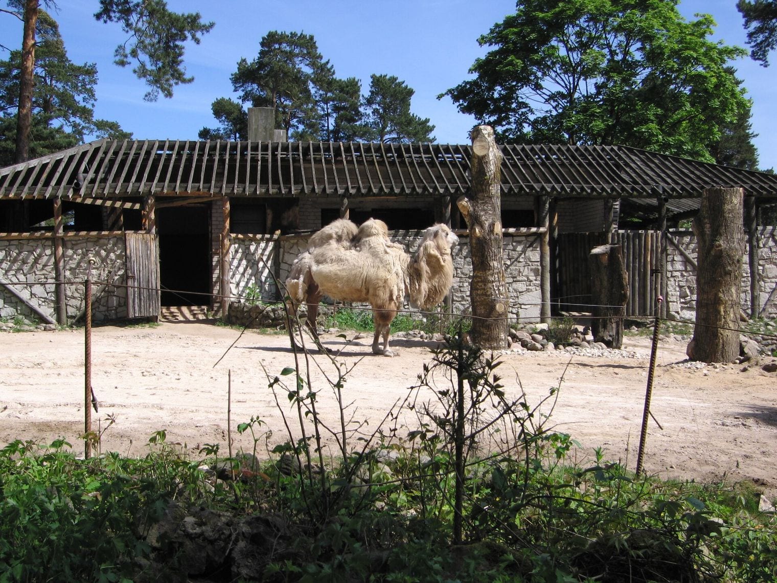 Riga National Zoological Garden, Latvia