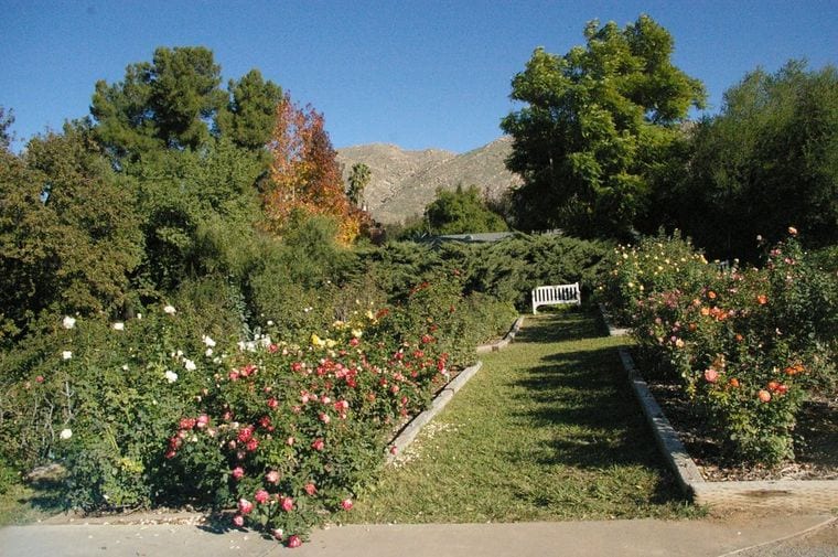 UC Riverside Botanic Gardens