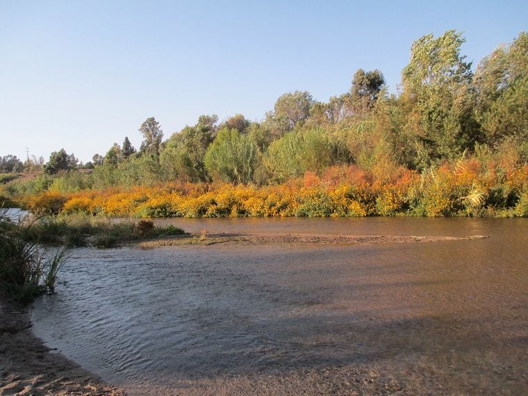 Martha McLean-Anza Narrows Park
