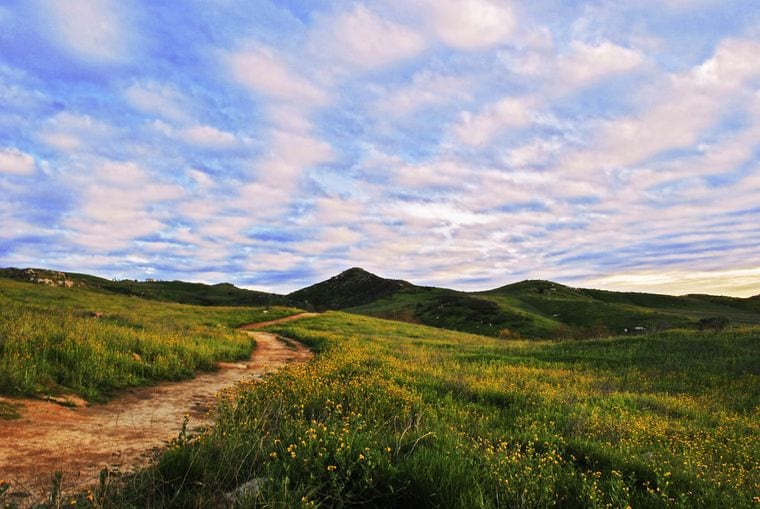 Sycamore Canyon Wilderness Park
