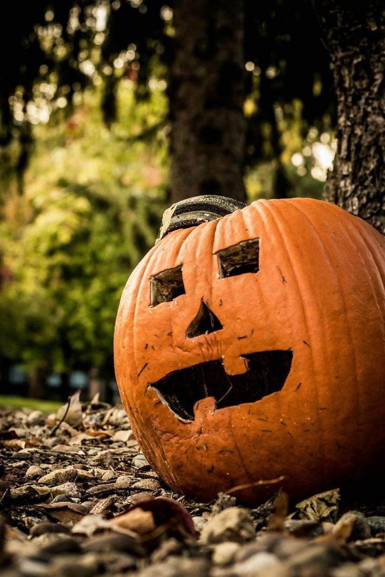Pumpkin Rock