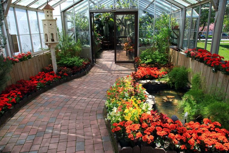 Lamberton Conservatory