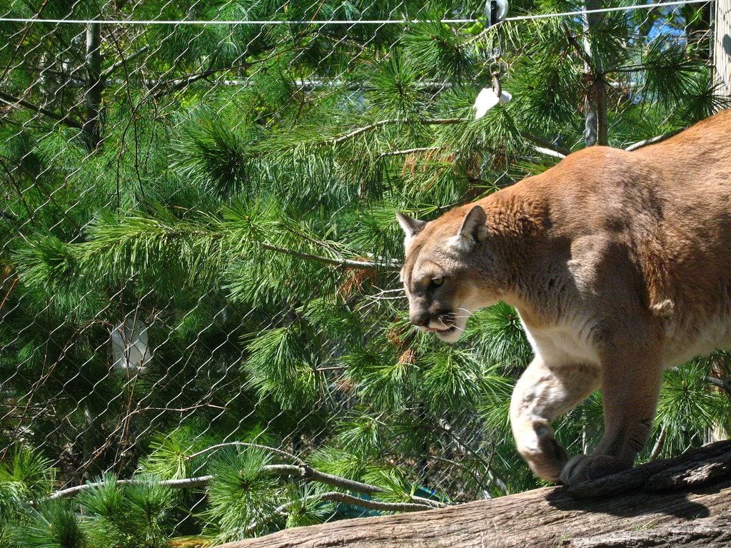Seneca Park Zoo, Rochester, New York