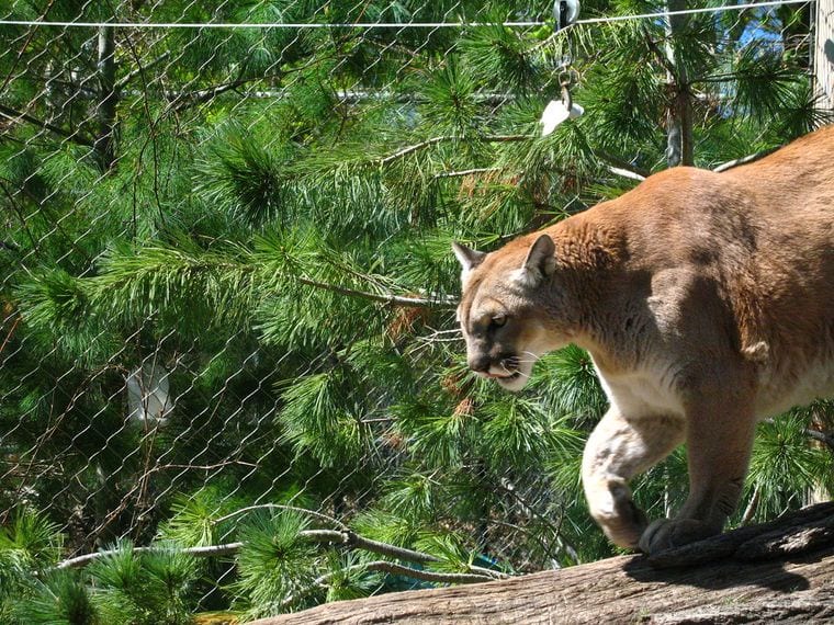 Seneca Park Zoo
