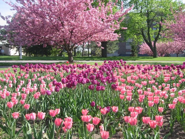 Highland Park