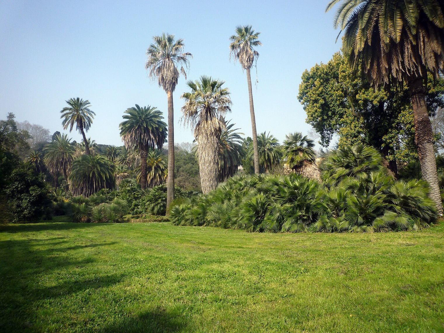 Rome Botanical Garden, Italy
