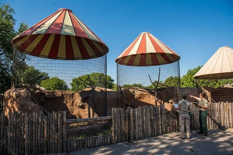Spring River Zoo