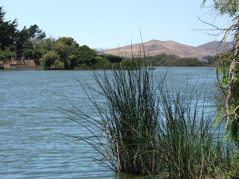 Laguna Lake Park & Dog Park