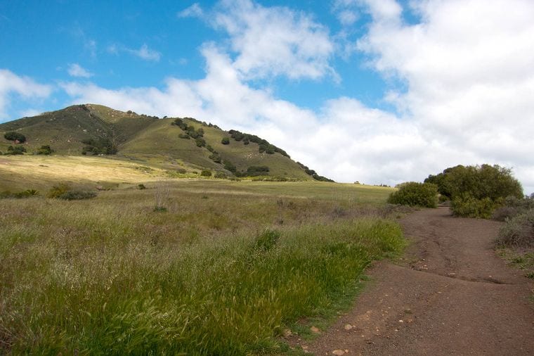 Irish Hills Natural Reserve