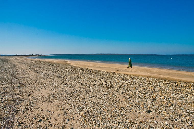Cedar Point Shores