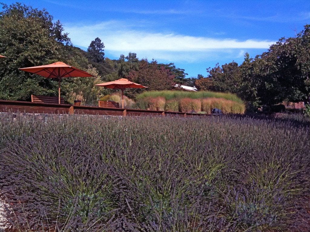 Matanzas Creek Winery, Santa Rosa, California