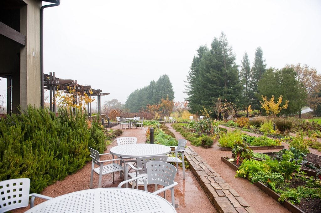 Lynmar Estate Winery, Santa Rosa, California