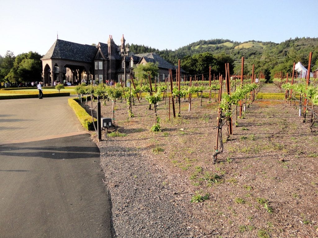 Ledson Winery and Vineyards, Santa Rosa, California