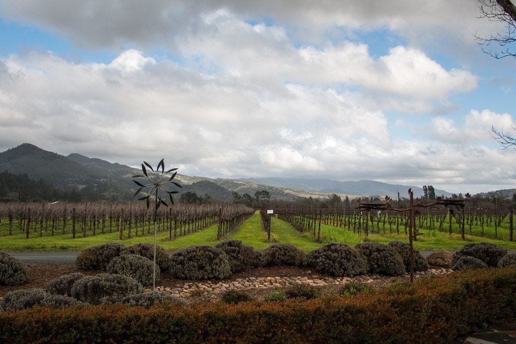 St. Francis Winery and Vineyards, Santa Rosa, California