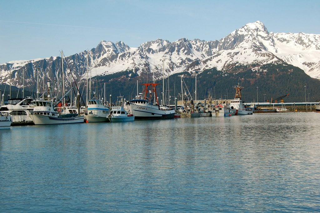 Resurrection Bay, Seward, Alaska
