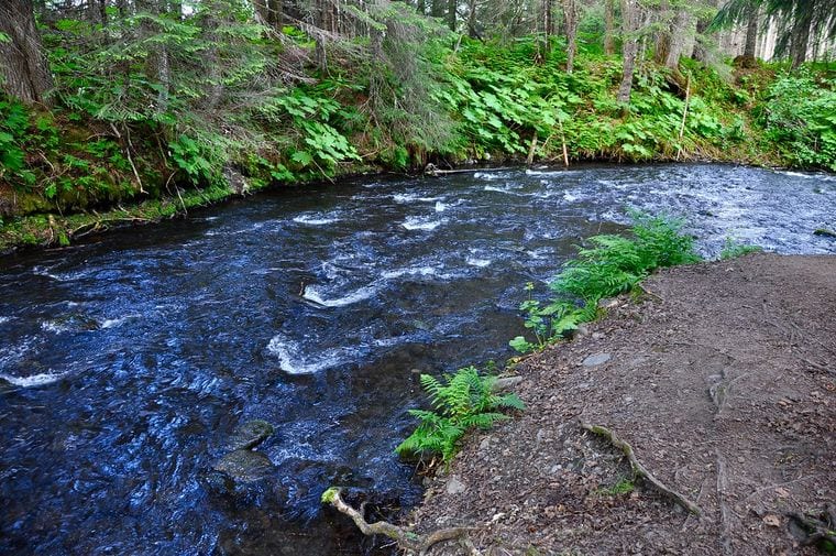 Bear Creek Weir