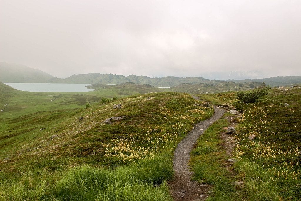 Lost Lake Trail, Seward, Alaska