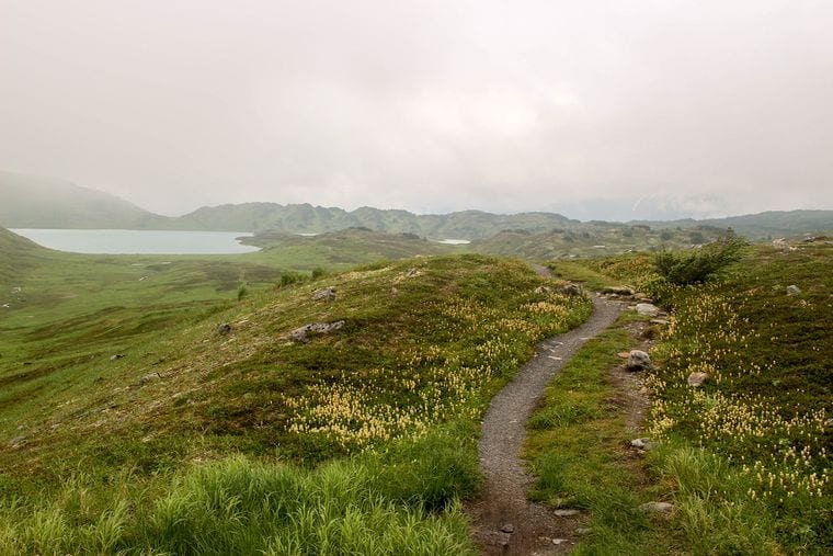 Lost Lake Trail