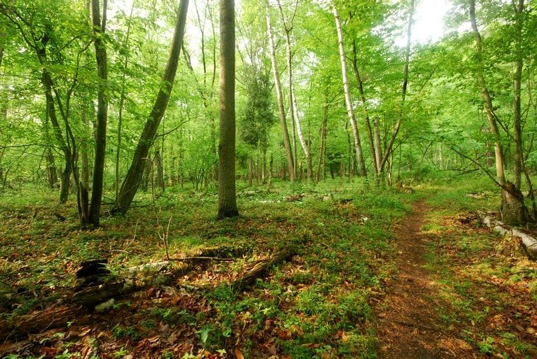 Woodland Dunes Nature Center & Preserve
