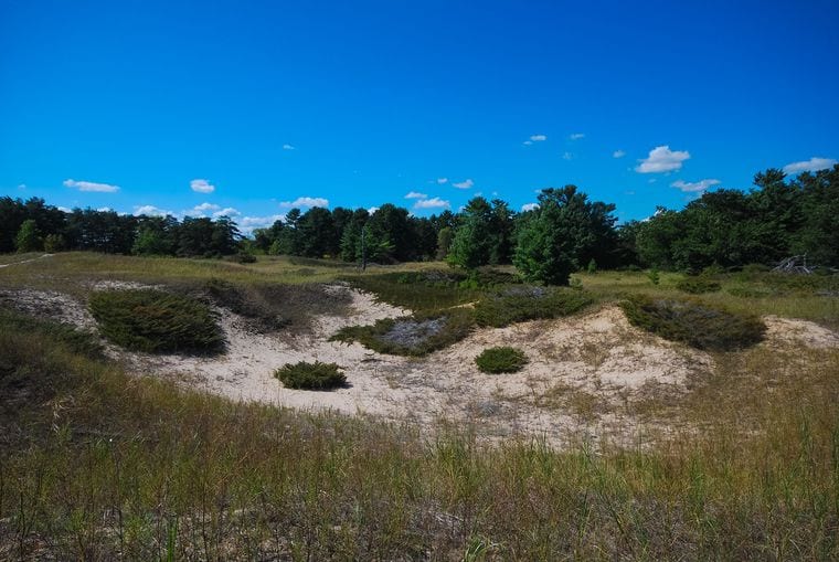Kohler-Andrae State Park