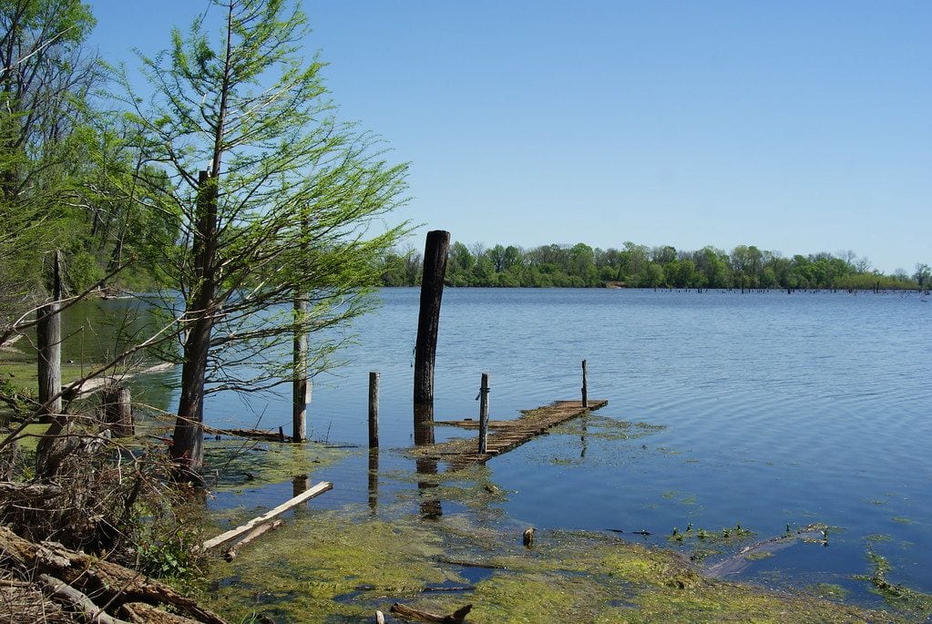 Red River National Wildlife Refuge, Shreveport, Louisiana
