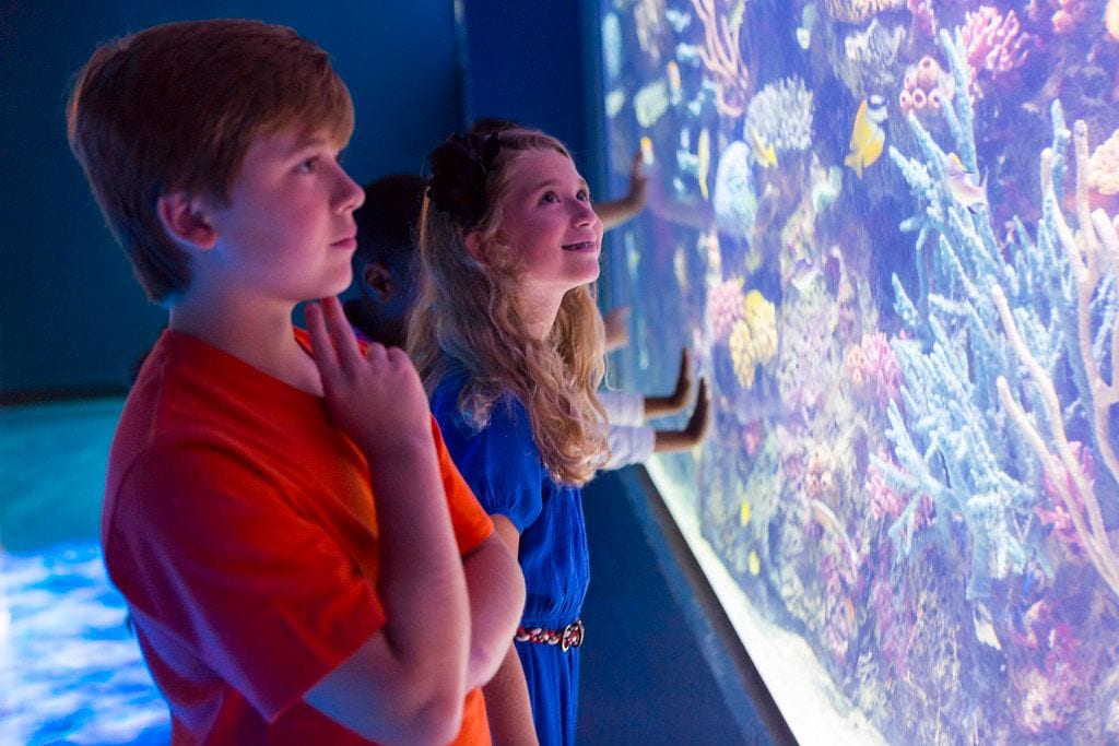 Shreveport Aquarium