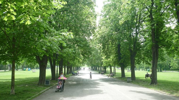 Borisova Gradina