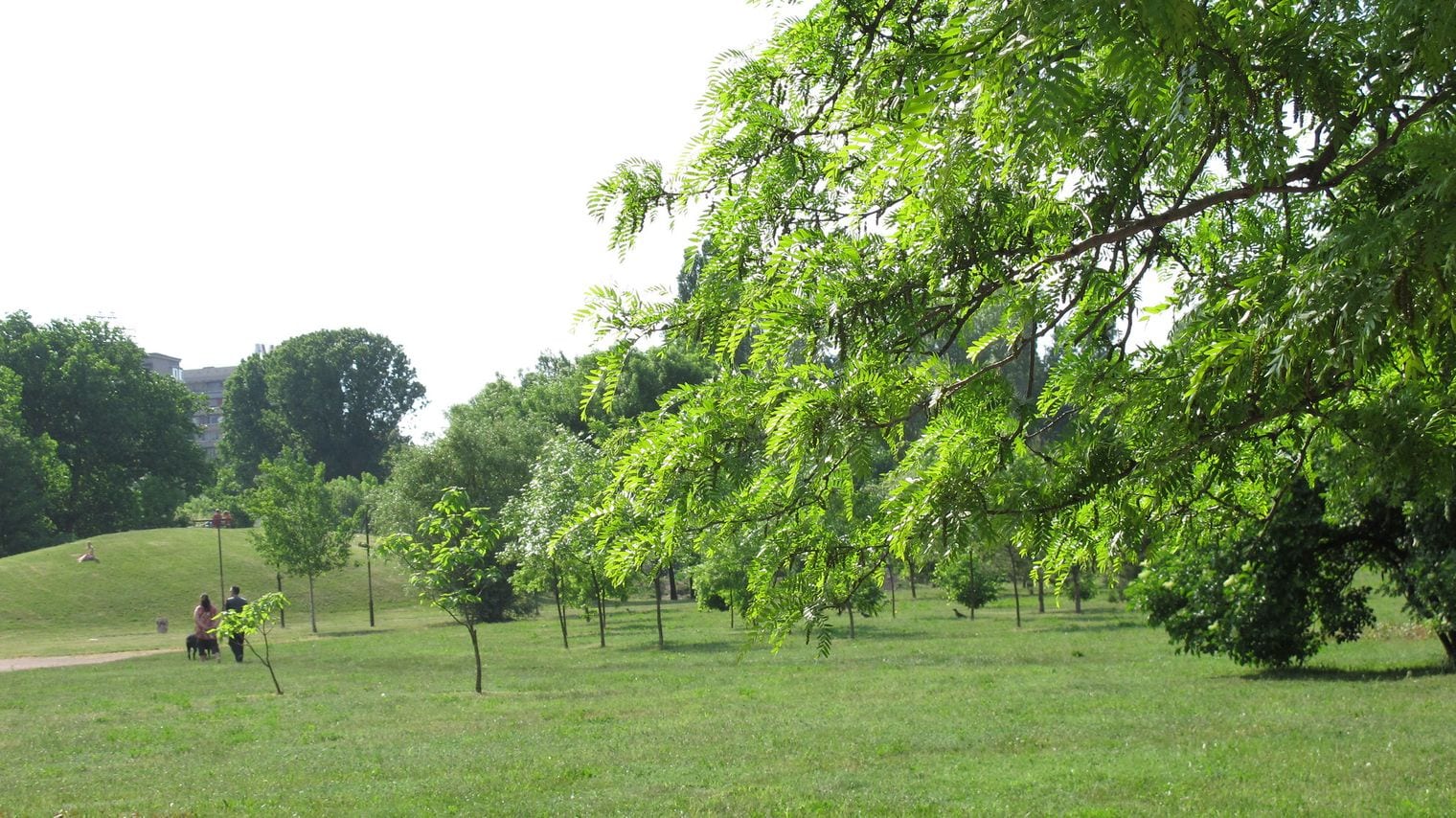 South Park, Bulgaria