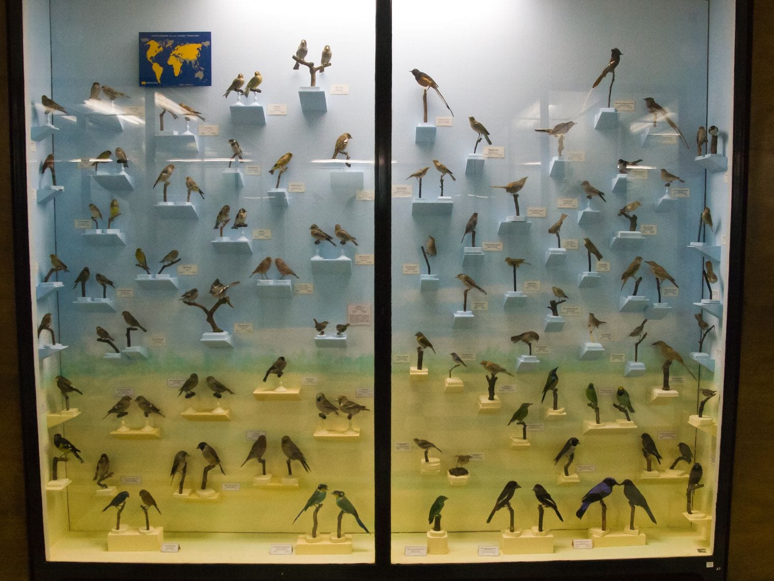 National Museum of Natural History, Bulgaria
