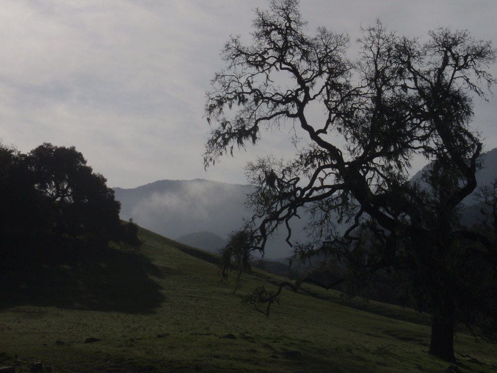 Nojoqui Falls Park, Solvang, California