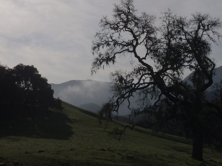 Nojoqui Falls Park