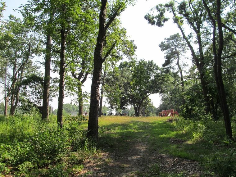 Van Horn Park