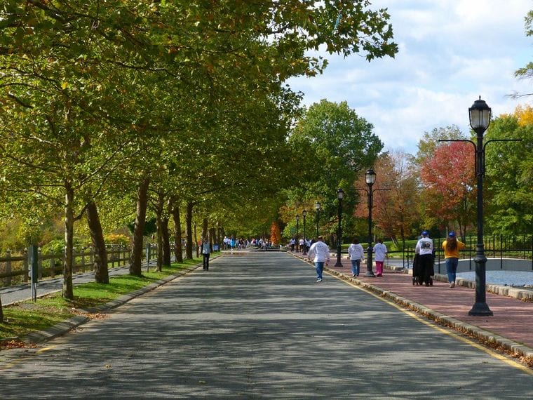 Forest Park