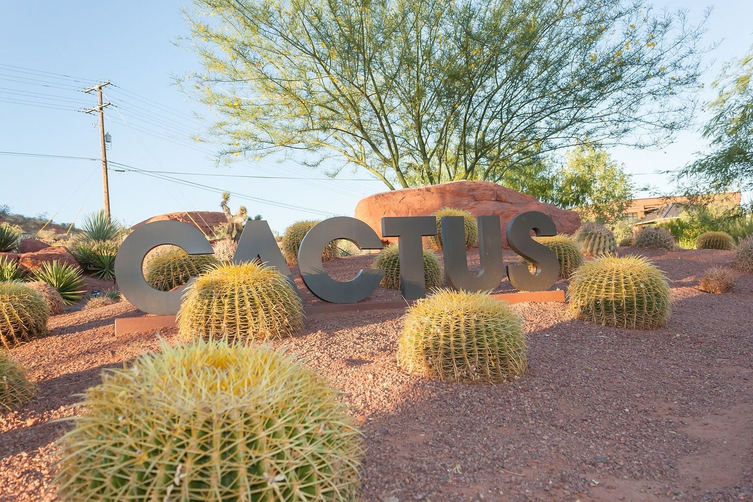 Red Hills Desert Garden, St George, Utah