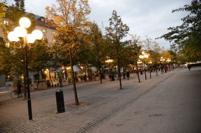 Kungsträdgården