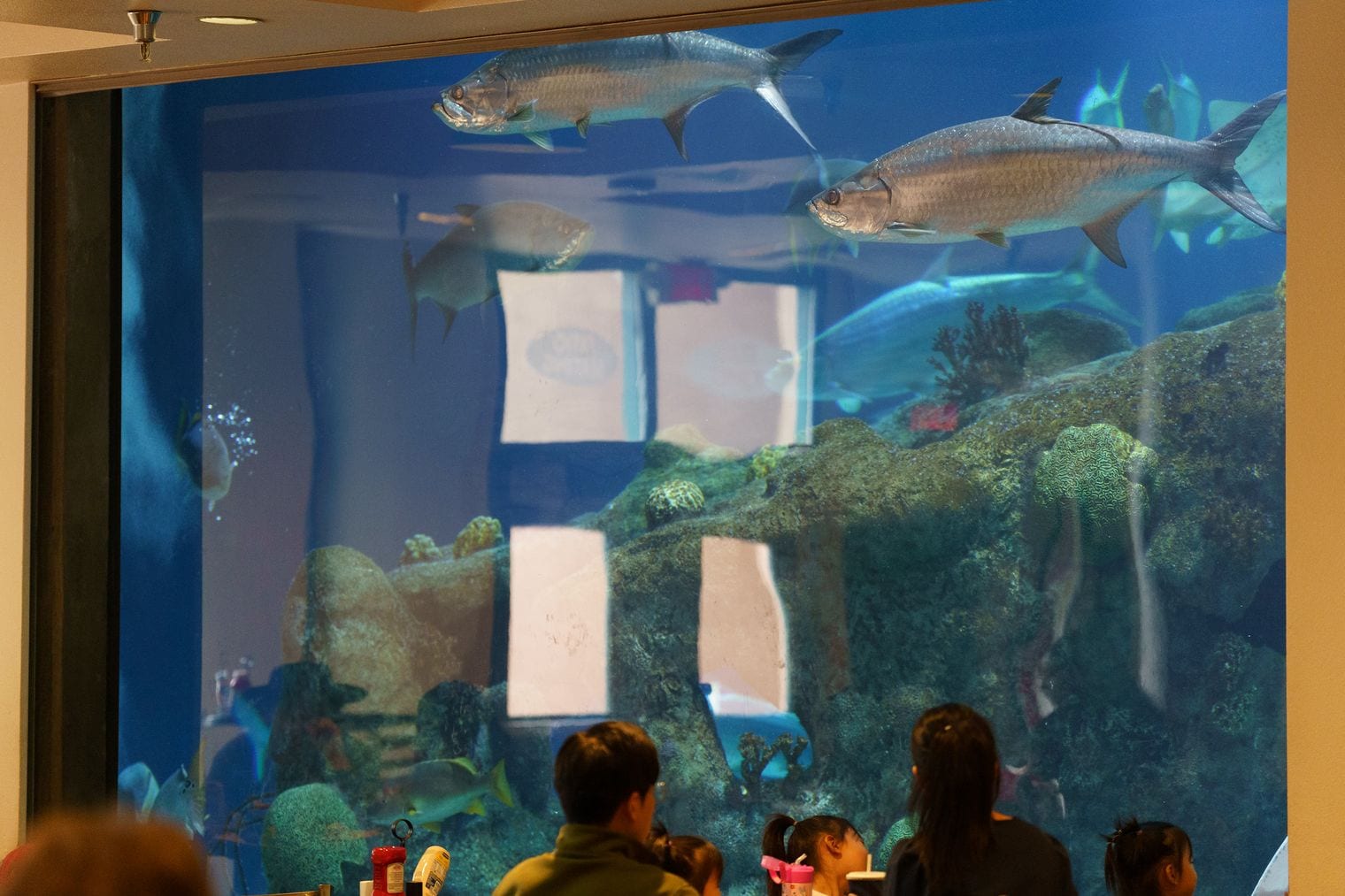 Skansen Aquarium, Sweden