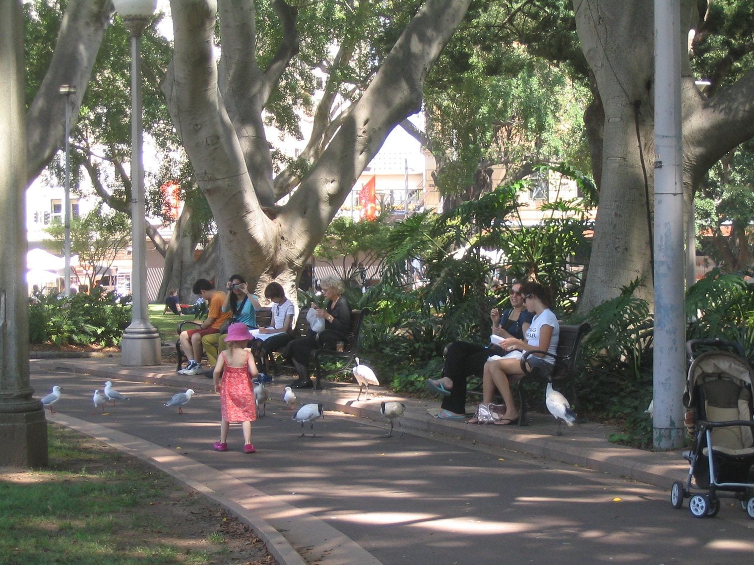 Hyde Park, Australia