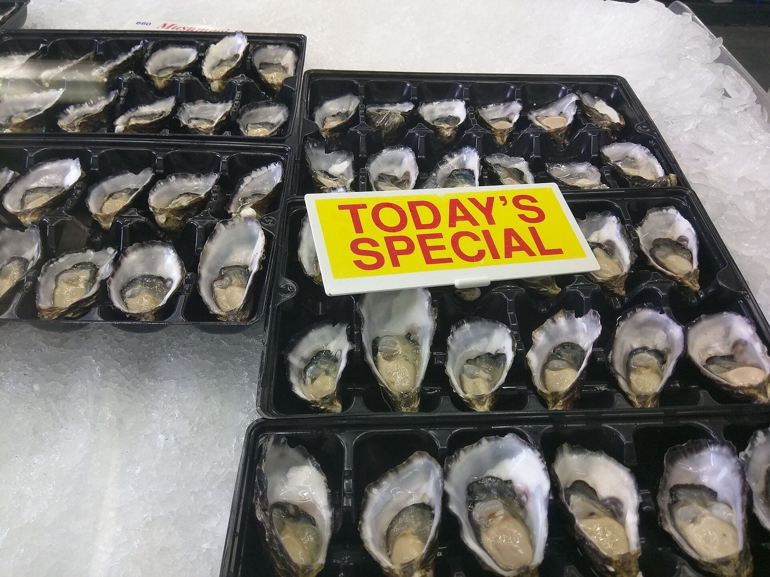 Sydney Fish Market, Australia