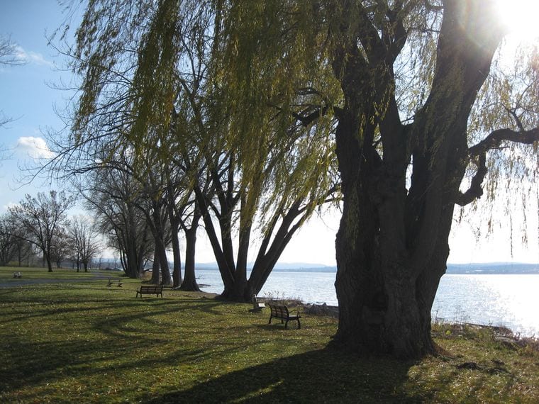 Long Branch Park