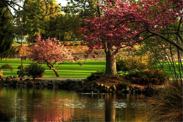 Point Defiance Park