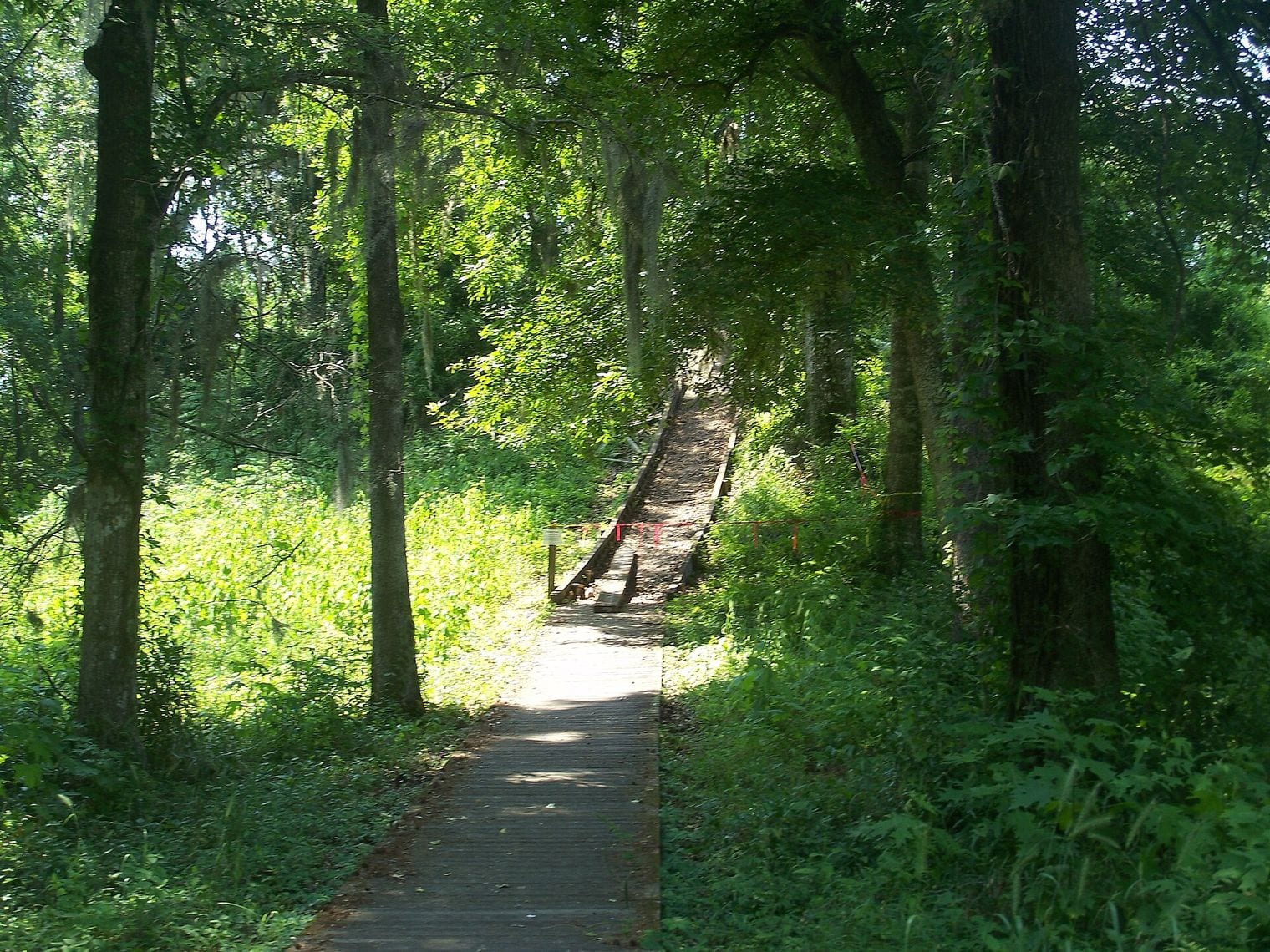Lake Jackson Mounds State Park, Tallahassee, Florida