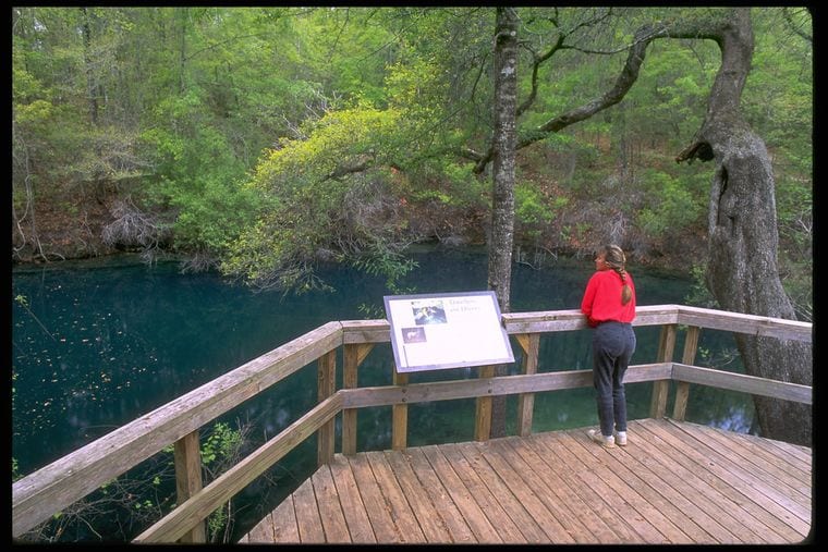Leon Sinks Geological Area