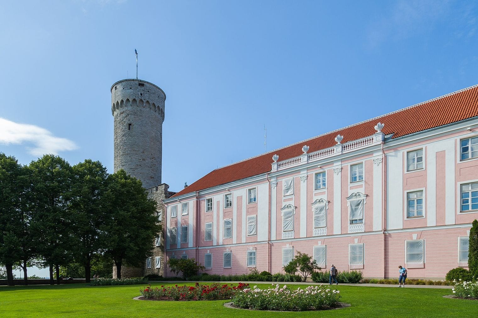 Tall Hermann, Estonia