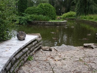 Kadriorg Park