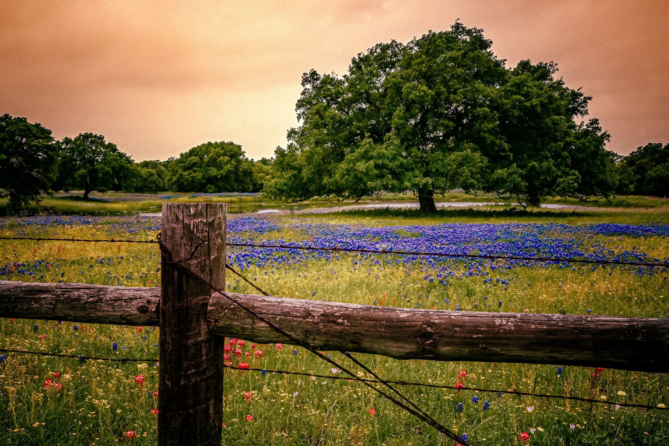 Scenic view of The Woodlands, Texas