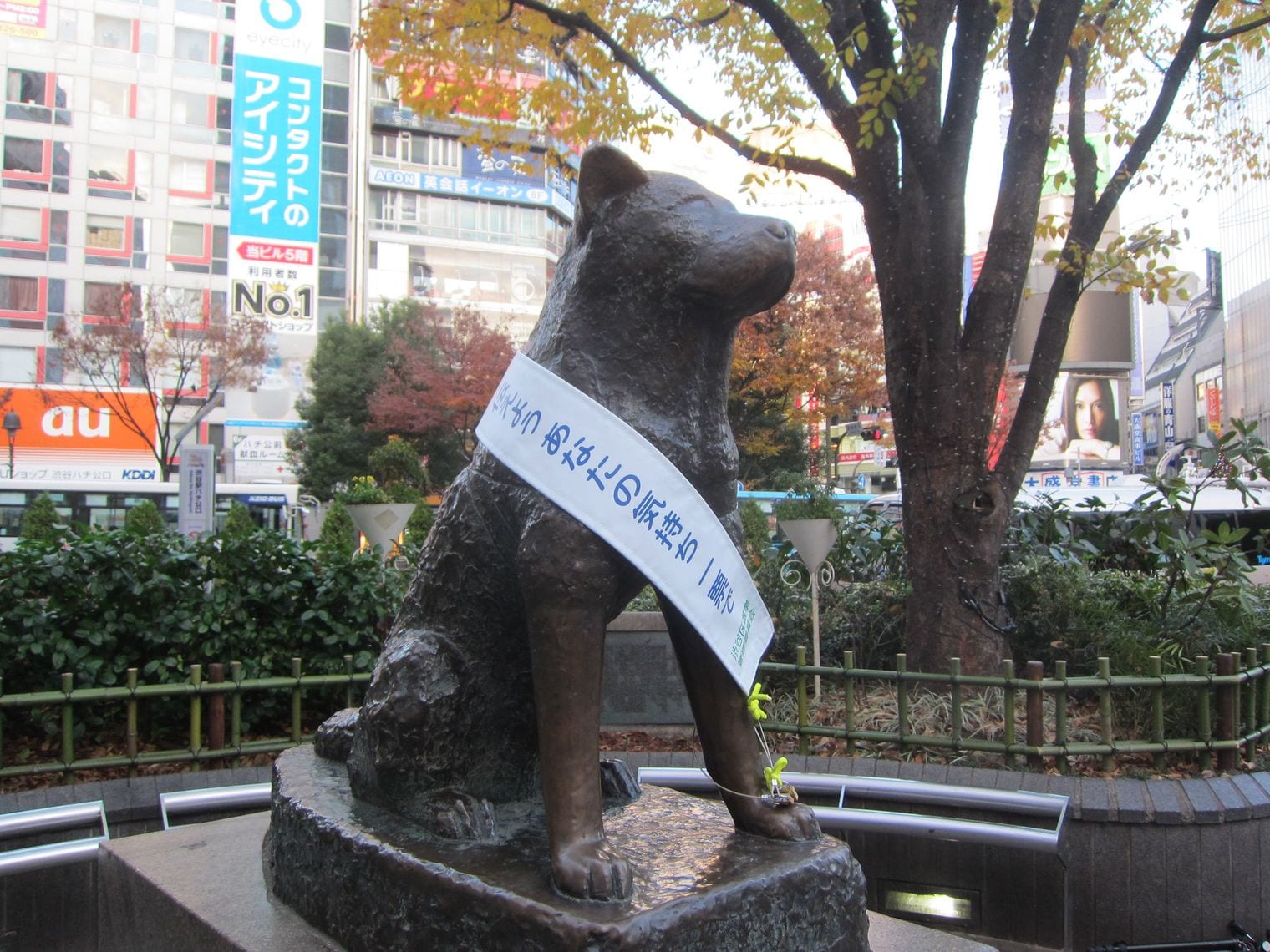 Hachiko Statue, Japan