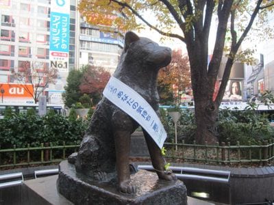 Hachiko Statue