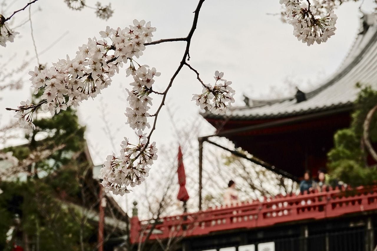Ueno Park, Japan
